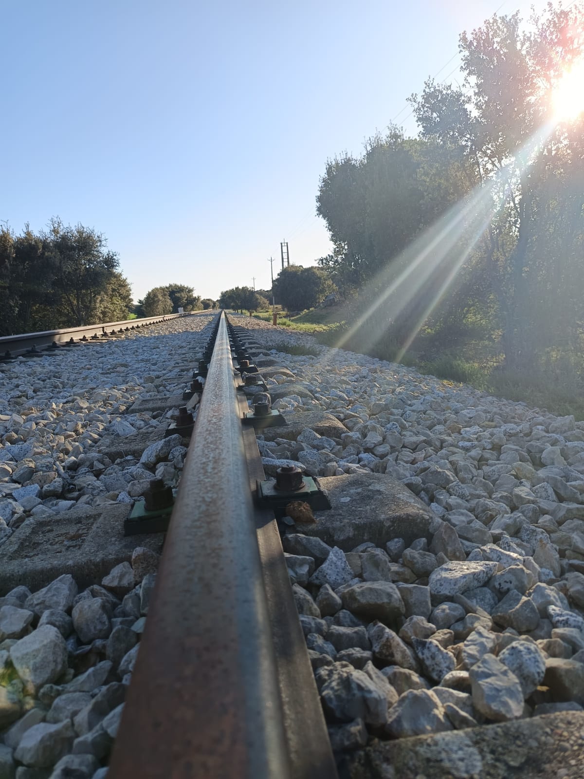 Via tren